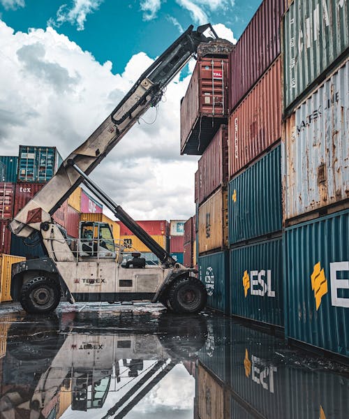 pexels-photo-36771190